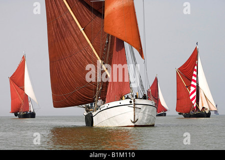 Segeln-Lastkähne im Wettbewerb auf dem Medway Centenary Barge Match 2008 Stockfoto