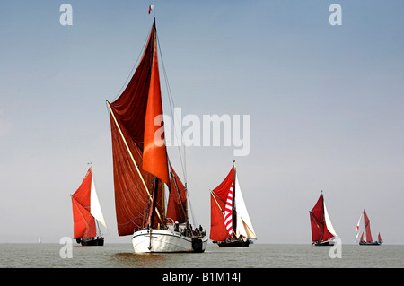 Segeln-Lastkähne im Wettbewerb auf dem Medway Centenary Barge Match 2008 Stockfoto