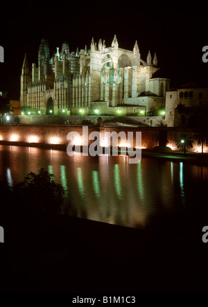 Palma Mallorca Balearen Spanien Kathedrale La Seu Bei Nacht Stockfoto