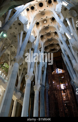 Ein Blick auf die Decke in die berühmte Kathedrale Sagrada Familia in Barcelona Spanien Stockfoto