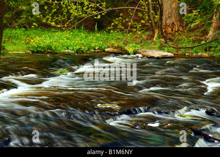 Schöne Landschaft ein Fluss fließt über die Felsen im grünen Wald Stockfoto