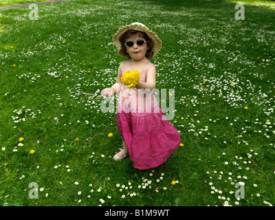 Drei Jahre altes Mädchen mit Haufen von Löwenzahn Sonnenhut und Sonnenbrille Salisbury im Mai Stockfoto