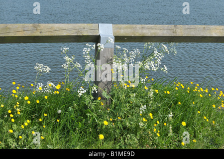 Warwickshire Earlswood Seen Stockfoto