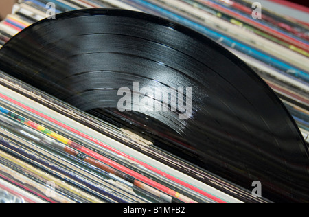 Vinyl LP Plattensammlung Stockfoto