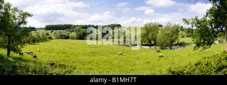 Viehweiden am Fluss Windrush und der isolierten Kirche St. Oswalds in Widford, Oxfordshire UK - östlich von Burford Stockfoto