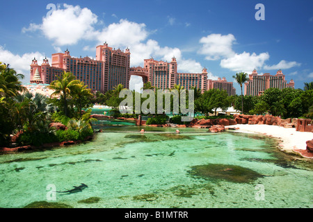 Hai im Atlantis Stockfoto