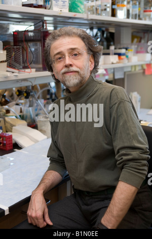 Mediziner in einem Krankenhaus-Forschungslabor in New York City Stockfoto