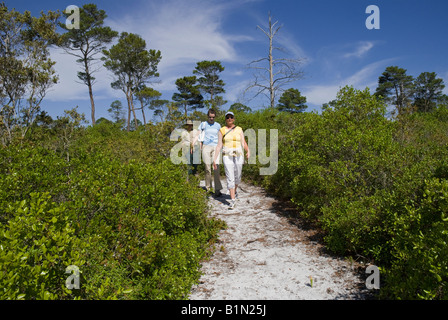 Hohen Bluff Küsten Wanderweg am Tate s Hölle Staatswald Nordflorida Stockfoto