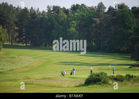 Blick von Fairway, Sunningdale Golf Course, Sunningdale, Berkshire, England, Vereinigtes Königreich Stockfoto