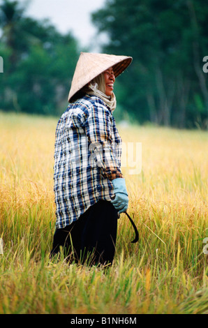 Vietnam Mekong Delta Frau lächelnd Reispaddy Landwirtschaft Stockfoto