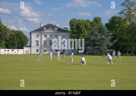 Cricket in Mable Hill Park Twickenham London England uk Stockfoto