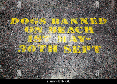 Hunde-Verbot am Strand Schild, England Stockfoto