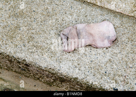 Tracey Emin Baby Things Ausstellung. Gestrickter Babyhandschuh. Dreijährliche öffentliche Kunstausstellung Folkestone Kent UK 2008 2000er Jahre HOMER SYKES Stockfoto