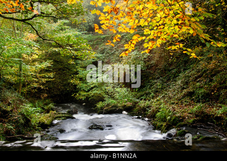 Dun na Ri Forest Park, County Cavan, Irland Wasserfall Stockfoto