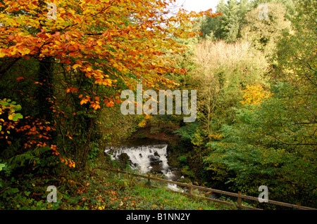 Dun na Ri Forest Park, County Cavan, Ireland Cavan Ireland Wasserfall Stockfoto