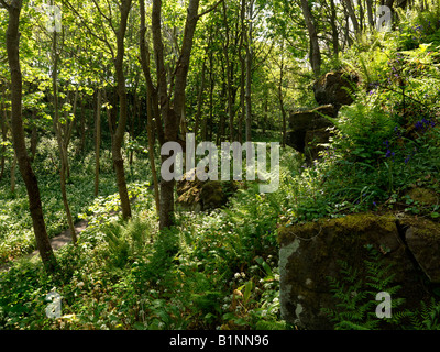 Schwarz Glen Abfahrt Co Derry-Nordirland Stockfoto