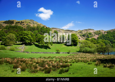 Die Loughrigg Fells im Frühjahr gesehen von der Loughrigg Tarn Küste weit unter den "Lake District" Cumbria England UK Stockfoto