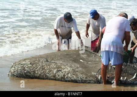 Fischer ziehen im Netz vom Strand entfernt Stockfoto