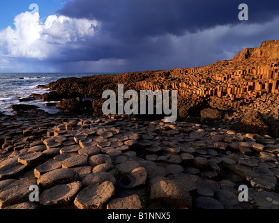 Das UNESCO-Weltkulturerbe Giants Causeway, North Coast, County Antrim, Nordirland Stockfoto