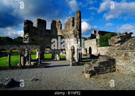 Mellifont Abbey County Louth Irland Stockfoto