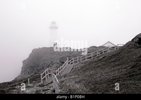 Starker Nebel steigen vom Atlantischen Ozean und über Cape Spear Leuchtturm in Neufundland Stockfoto