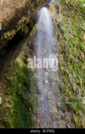 Tausend Rückgang der Hölle Loch Canyon Trail Anza Borrego Desert State Park California Stockfoto