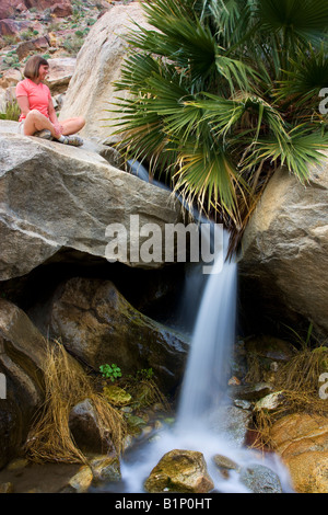 Ein Wanderer genießen einen Wasserfall an der erste Palm Oasis Borrego Palm Canyon Anza Borrego Desert State Park California Stockfoto