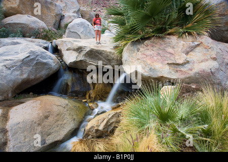 Ein Wanderer genießen einen Wasserfall an der erste Palm Oasis Borrego Palm Canyon Anza Borrego Desert State Park California Stockfoto