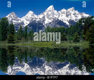 Schneebedeckte Gipfel spiegeln sich in Biber Teich entlang des Snake River im Grand Teton National Park in Wyoming Stockfoto