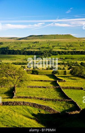 Addlebrough vom Askrigg gemeinsamen Wensleydale Yorkshire Dales National Park Stockfoto