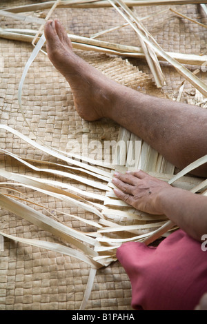 Weben Vuniuto Dorf Taveuni Fidschi Stockfoto