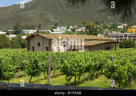 COB-Haus im Weinberg Barrydale, Südafrika in der kleinen Karoo, Western Cape Stockfoto