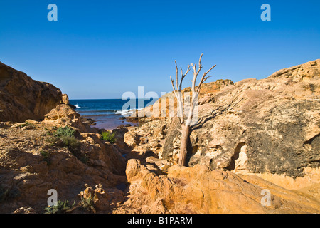 Pfad vom Strand Binime-La Cala Pregonda Minorca Menorca Stockfoto