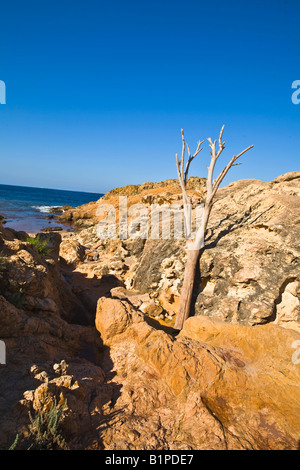 Pfad vom Strand Binime-La Cala Pregonda Minorca Menorca Stockfoto