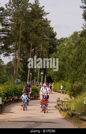 Menschen Radfahren bei Center Parcs an Elveden in der Nähe von Thetford, Großbritannien Stockfoto