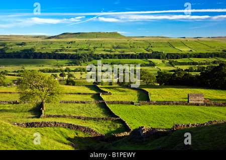 Addlebrough vom Askrigg gemeinsamen Wensleydale Yorkshire Dales National Park Stockfoto
