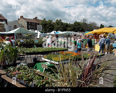 Open-air-MARKT IN SHERINGHAM, North Norfolk. Stockfoto