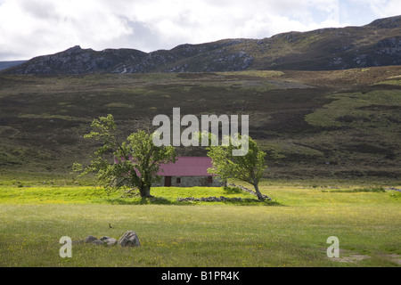 Alte Steading, Bauernhof Croft, Landschaft, Landwirtschaft Feld oder remote stillgelegte landwirtschaftliche Gebäude, Blechdach, & windgepeitschte Bäume, Moor in Invernesshire Stockfoto