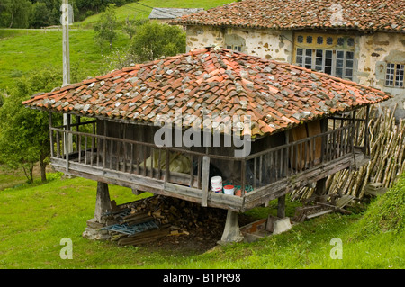 Horreo in der Nähe von Cadavedo in Region Asturien Spanien Stockfoto