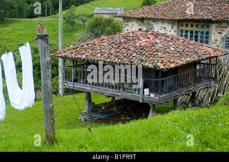 Horreo in der Nähe von Cadavedo in Region Asturien Spanien Stockfoto