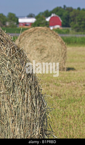 Ersten Schnitt Heu und Red Barn: große Runde Kaution von frisch geschnittenem Heu mit einem anderen unscharf und eine rote Scheune in der Ferne Stockfoto