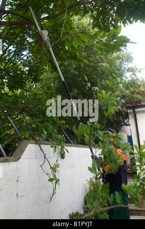 Mann in STIHL Power Tool Schutzkleidung mit einem Kombi Motor KM 90 mit Pole Pruner HT-KM Schneiden von Ästen Stockfoto