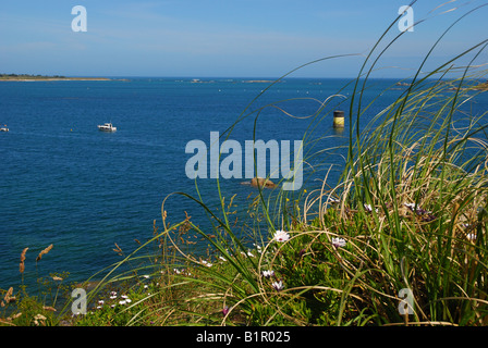 Roscoff Hafen Eintrag Stockfoto