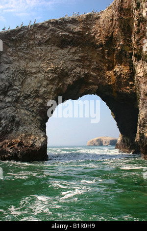 Vogel-Kolonie bei Ballestas Inseln Paracas National Reserve Peru Stockfoto