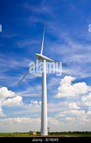 Einzelne Windkraftanlage gegen einen blauen Sommerhimmel mit flufffy weißen Wolken, aufgenommen bei Westmill Wind Farm, Oxfordshire, England, UK Stockfoto