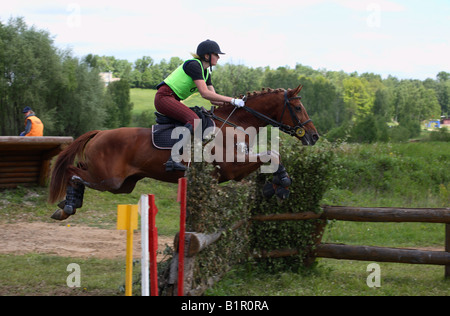 Junge Dame Fahrer mit einem Reiten Hut und einen Körperschutz ist auf Rückseite ein reinrassiges Pferd im Herbst im Galopp Stockfoto