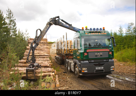 Schottisches Holz, Verladen von Schnittholz mit HIAB, Land kommerzielle Forstwirtschaft Erntebetriebe in Invernesshire, Schottland uk Stockfoto