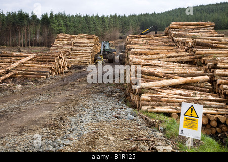 Schottische Baum Protokollierung & Holzindustrie.   Ernte von Holz auf der Isle Of Skye, Schottland, Vereinigtes Königreich Stockfoto