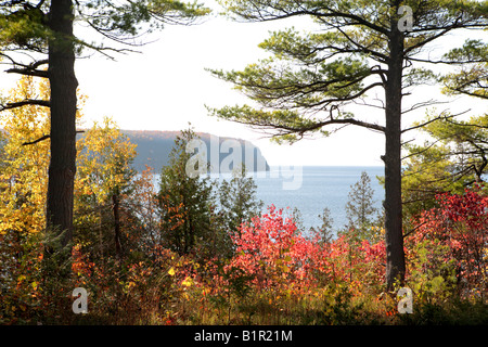 BLICK AUF LAKE MICHIGAN SHORE AUS EINEM WALD IN ELLISON BAY DOOR COUNTY, WISCONSIN USA Stockfoto