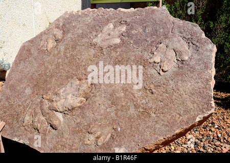 Dinosaurier-Fußabdrücke auf dem Display an Glen Canyon Dam am Lake Powell zwischen Arizona und Utah USA Stockfoto